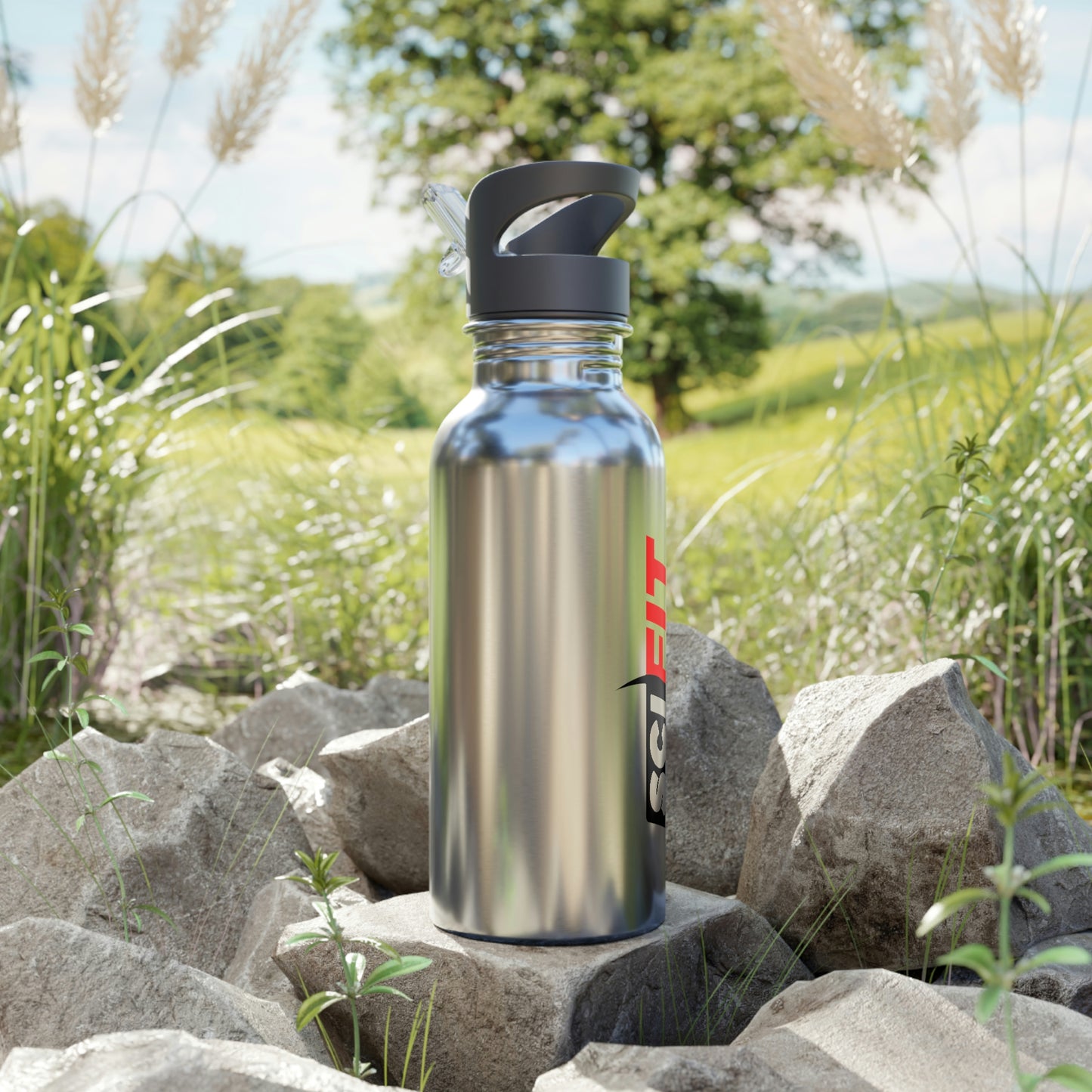 Stainless Steel Water Bottle With Straw